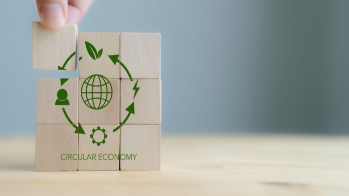 Fairown circular economy