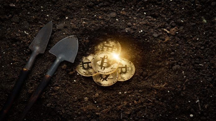 Bitcoin mine Bitfarms appoints new Investor Relations lead
