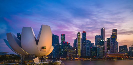 credit: Shutterstock