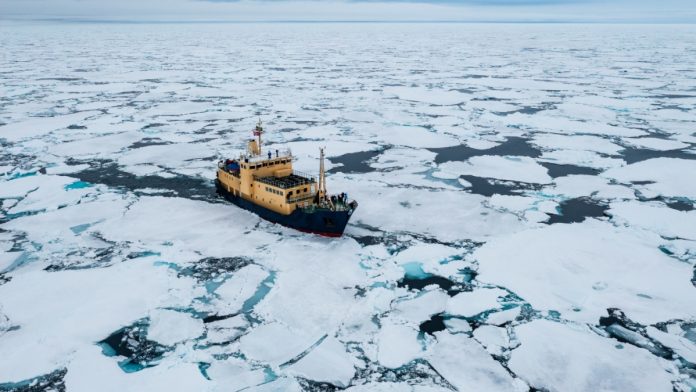 Expedition vessel cruising through sea ice in Svalbard.