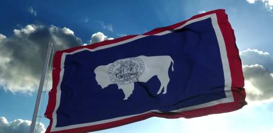 Wyoming Flag