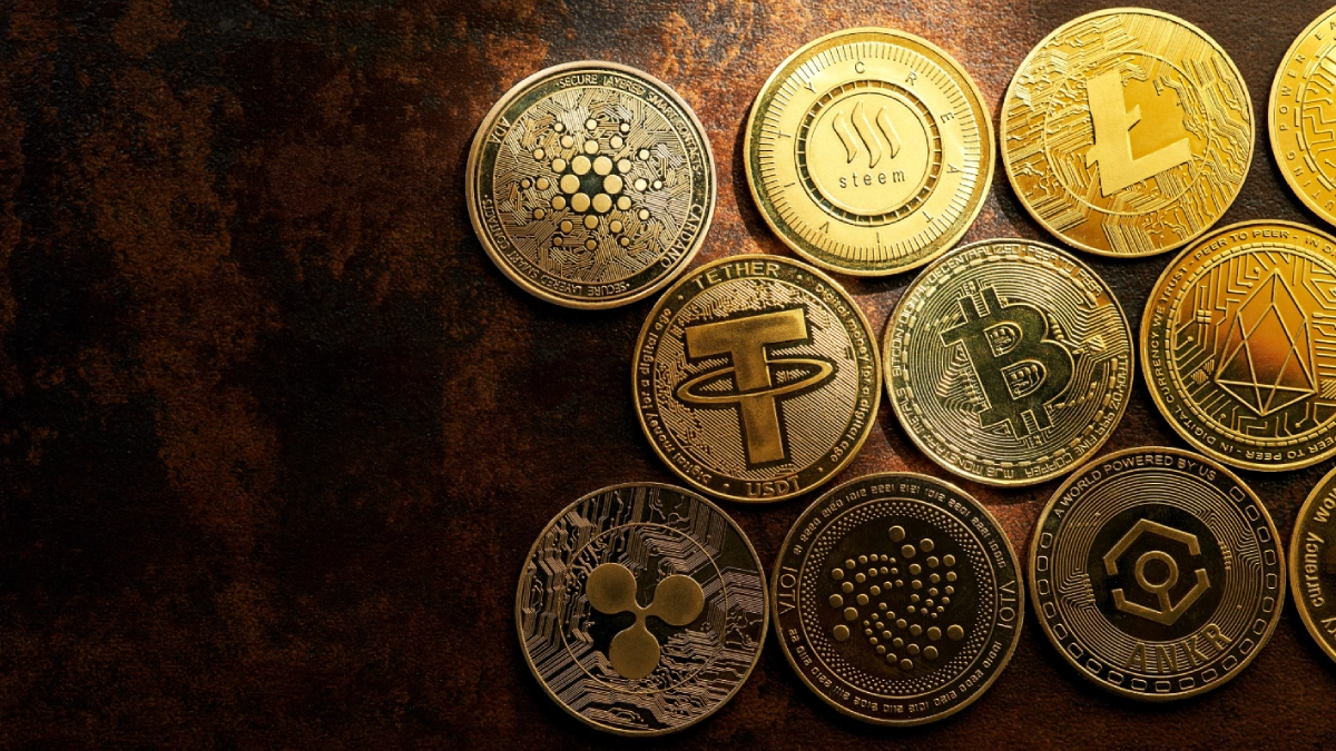 Cryptocurrencies are Payhound's main focus.